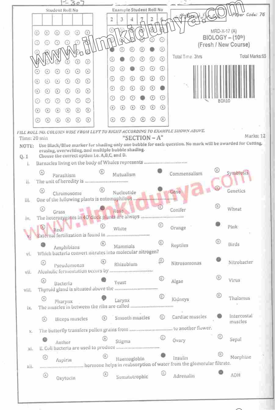 Paper Image