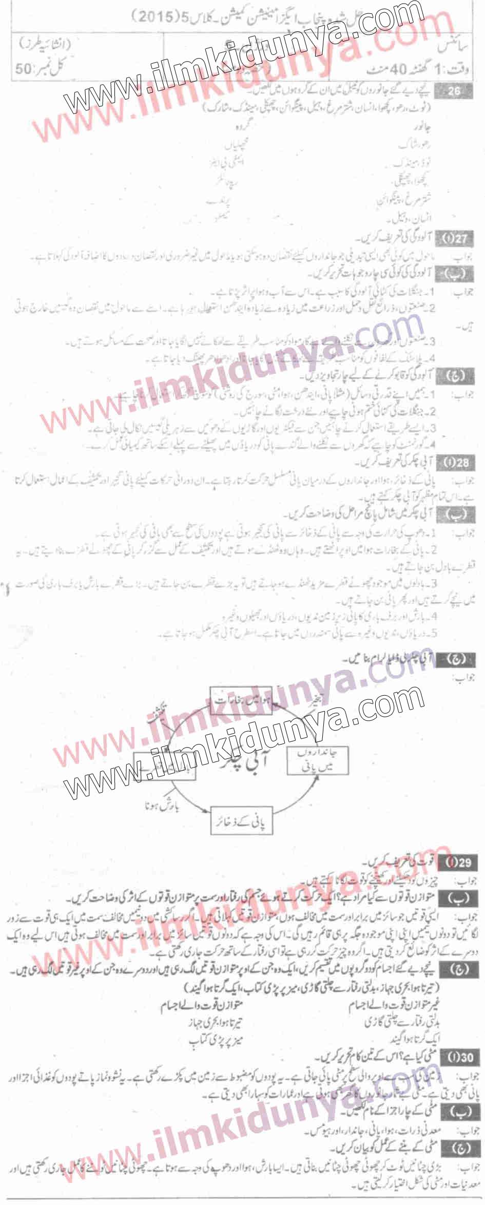 Paper Image