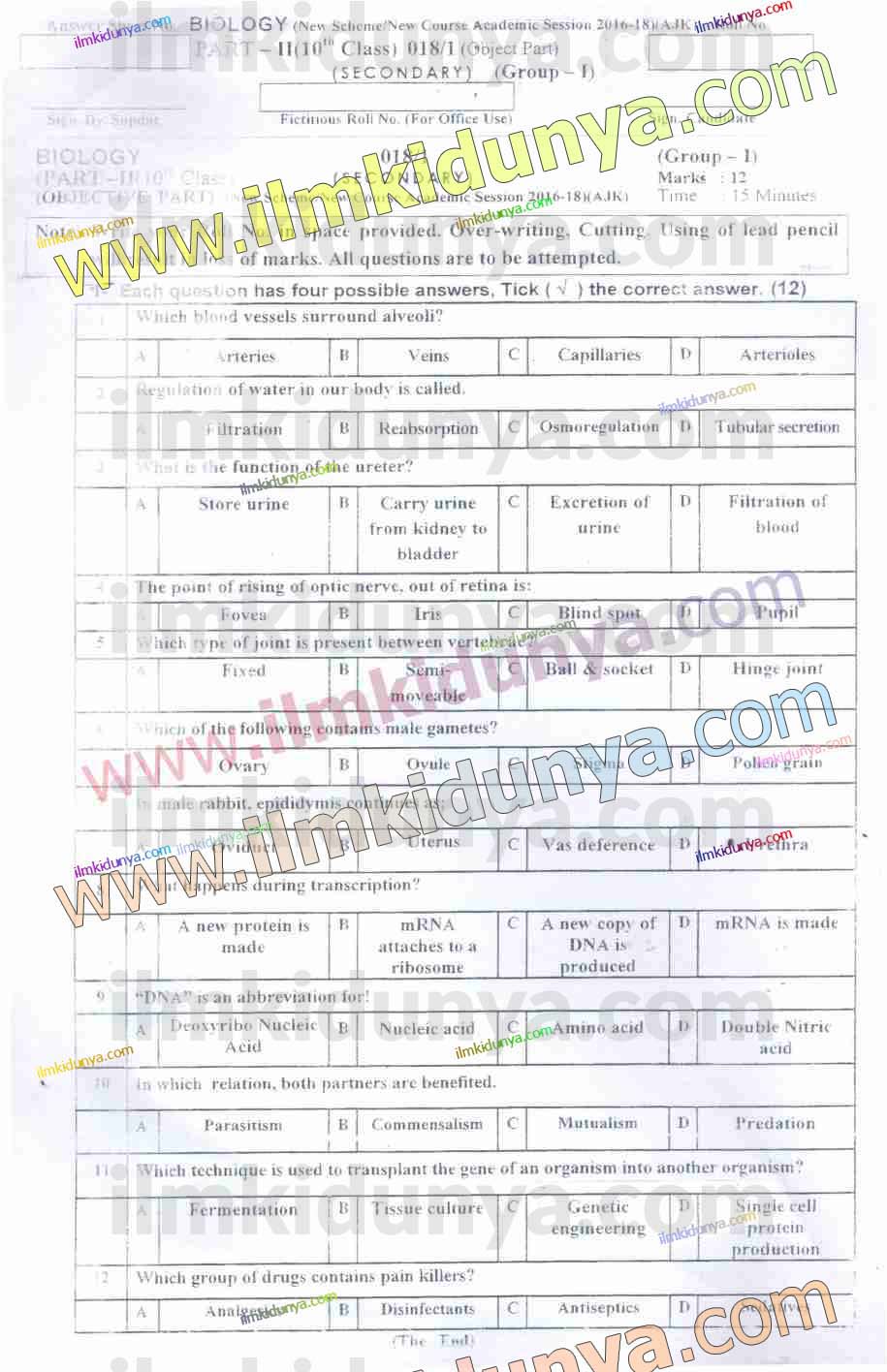 Paper Image