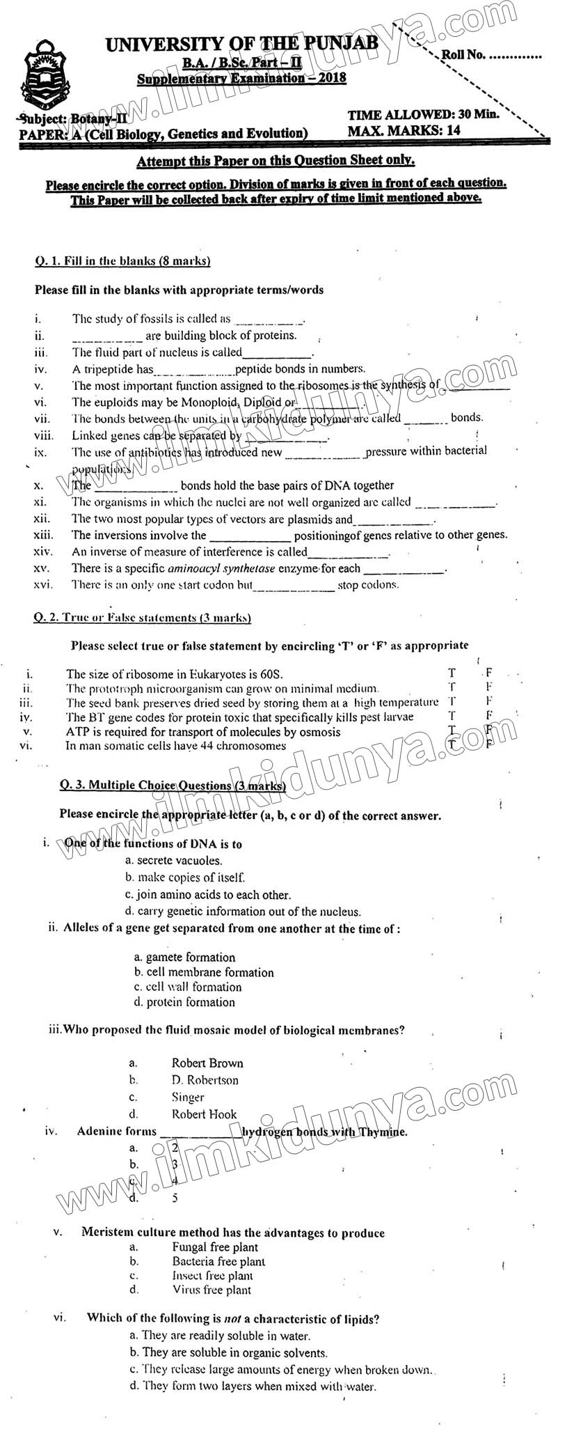 Paper Image