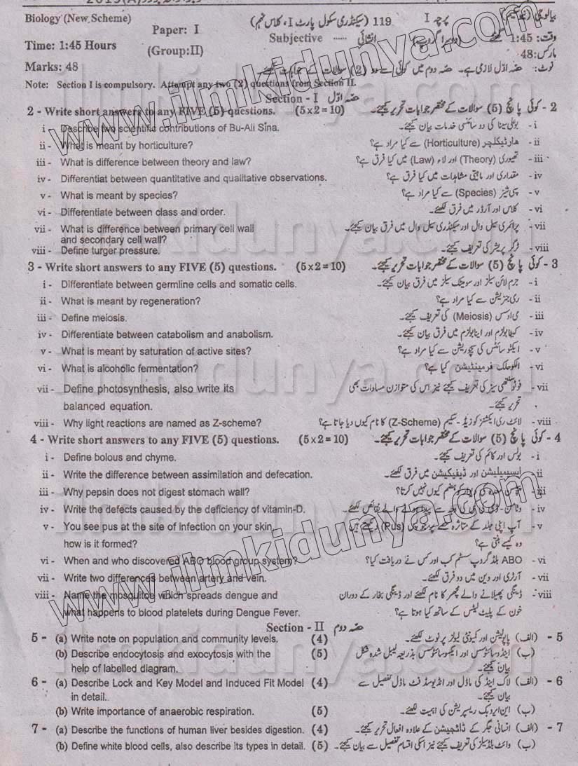 Paper Image