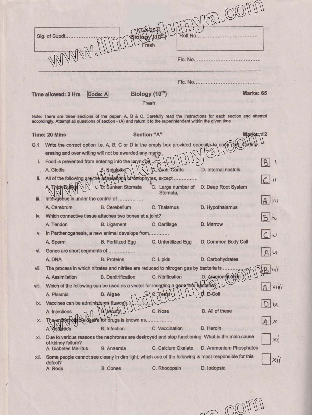 Paper Image