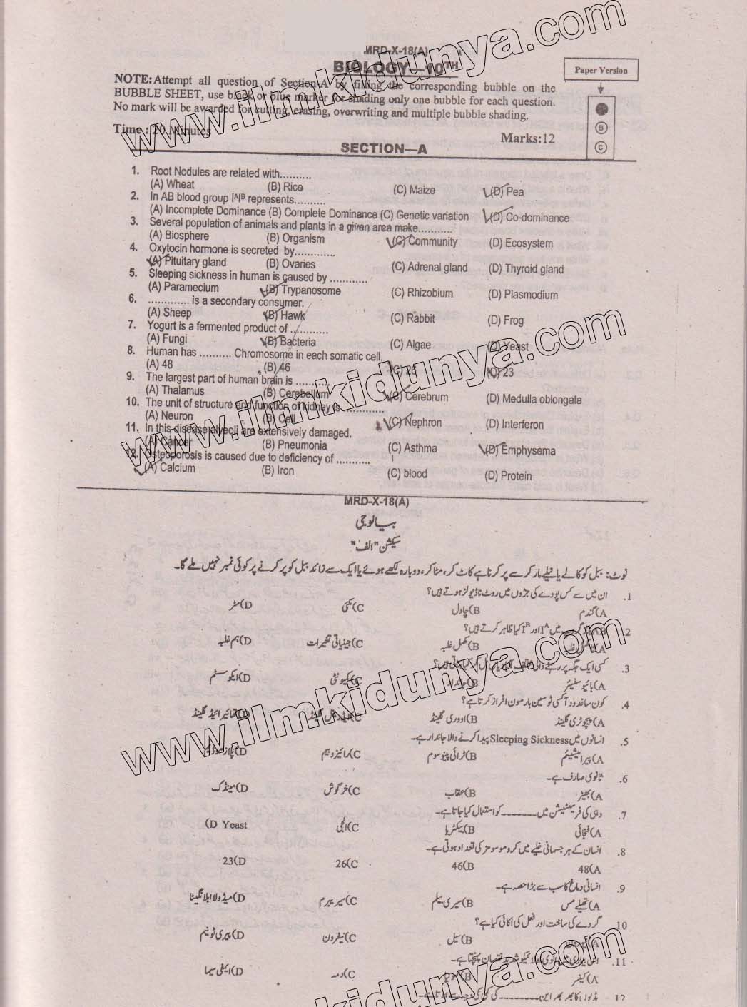 Paper Image