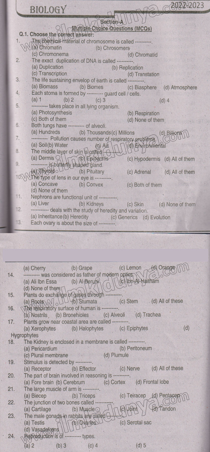 Paper Image