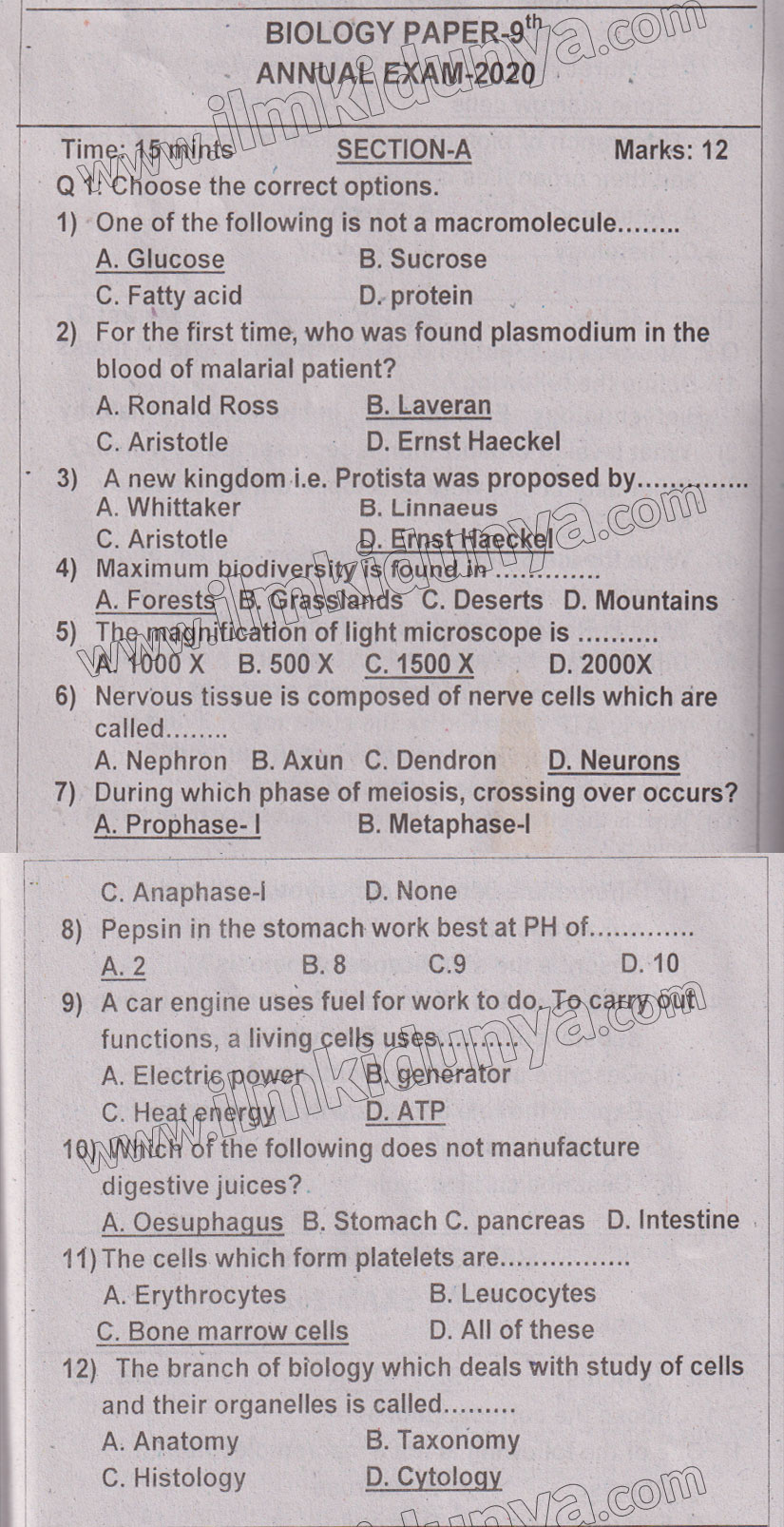 Paper Image