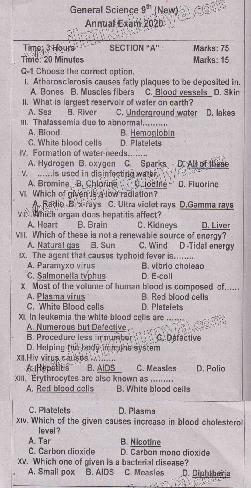 Paper Image