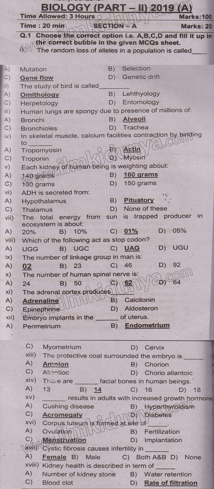 Paper Image