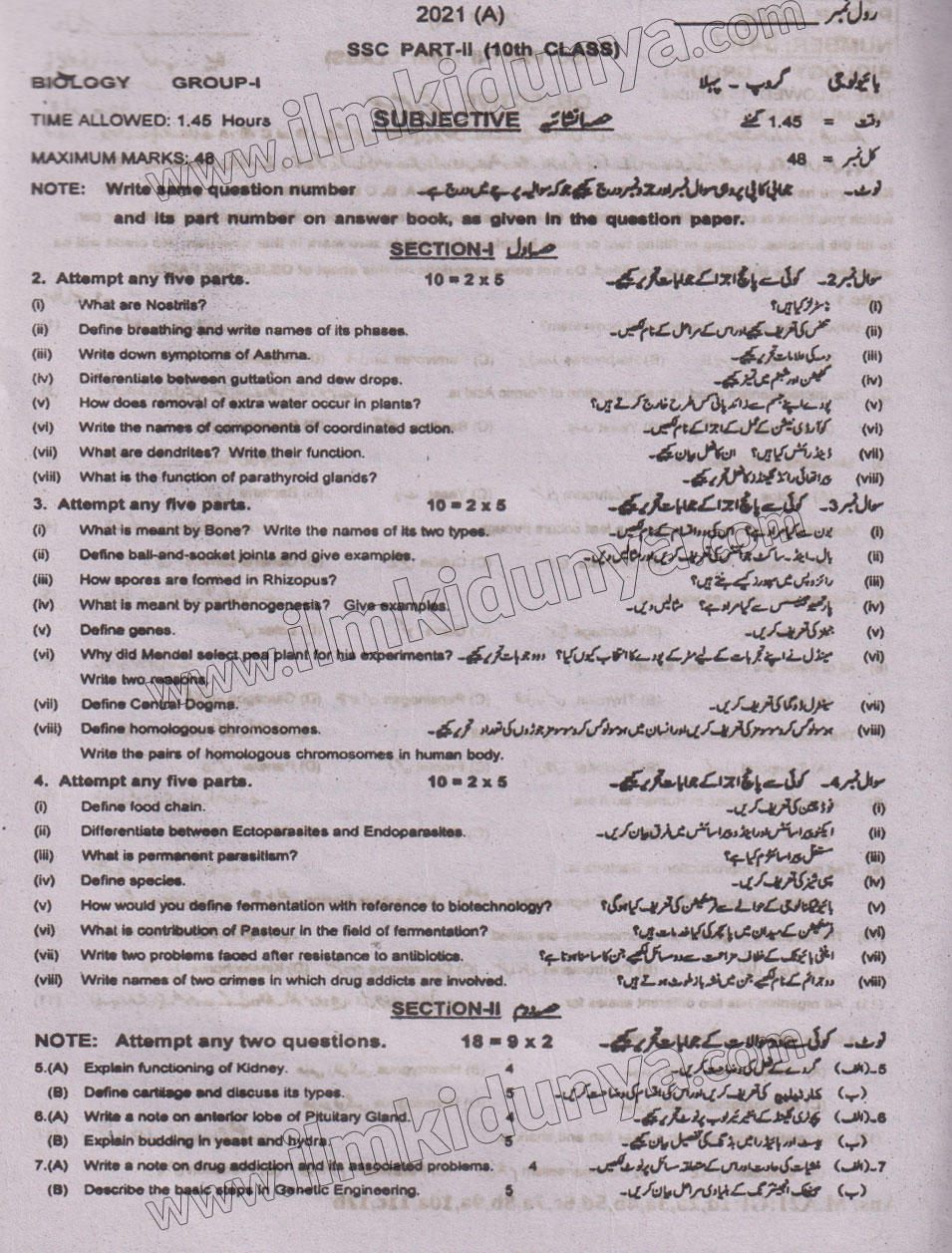 Paper Image