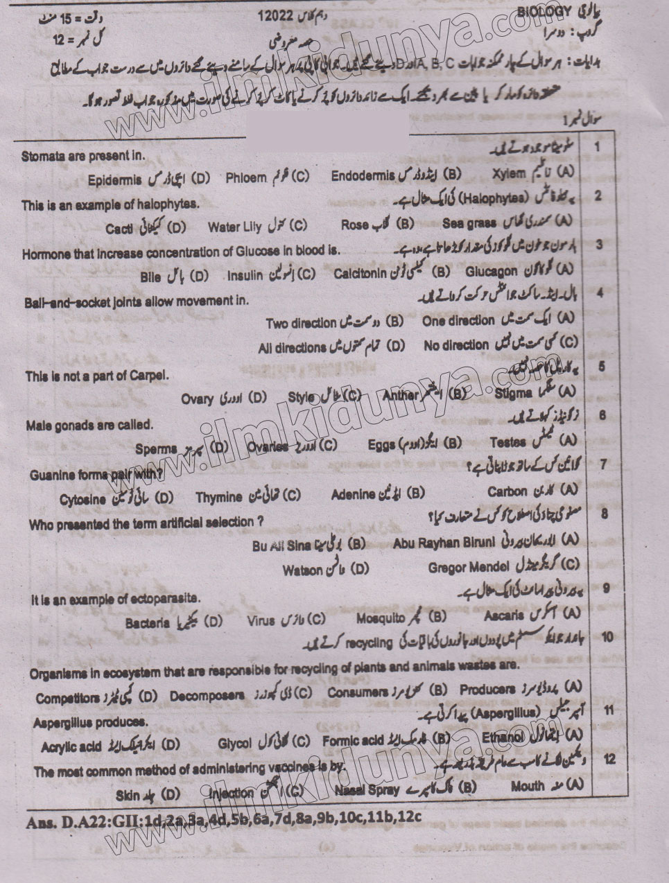 Paper Image
