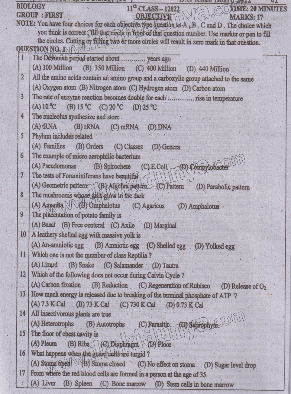 Paper Image