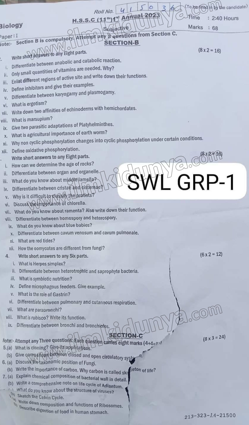 Paper Image