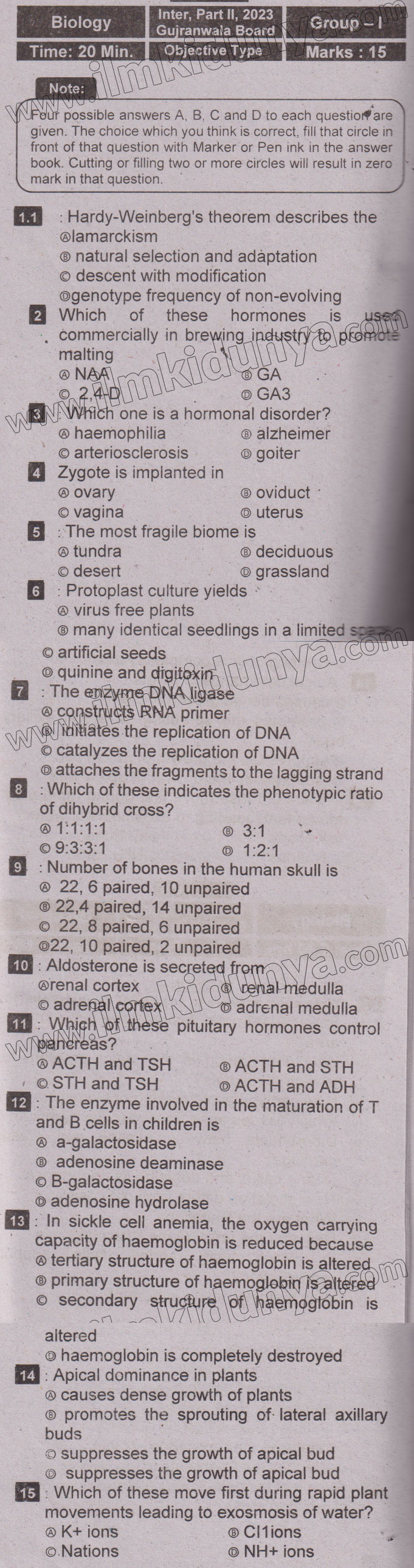 Paper Image