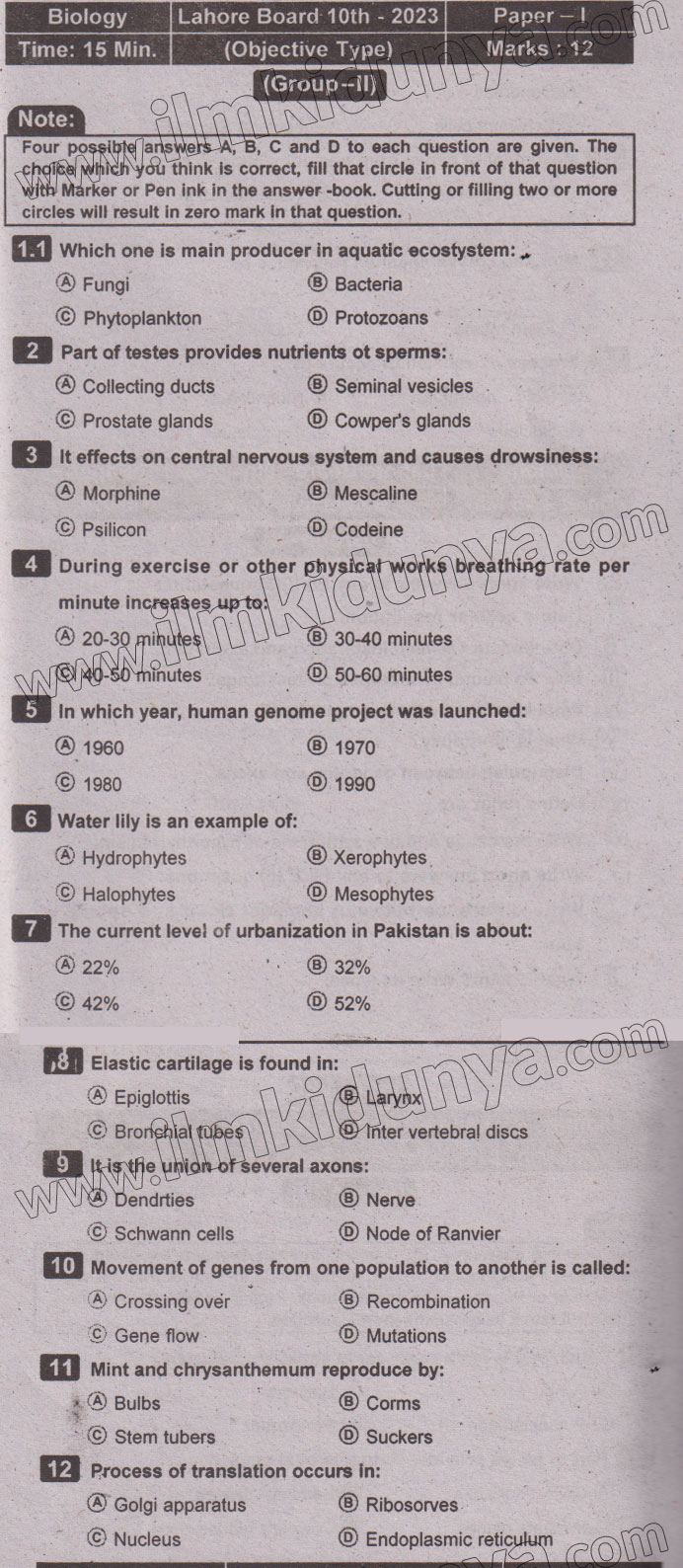 Paper Image