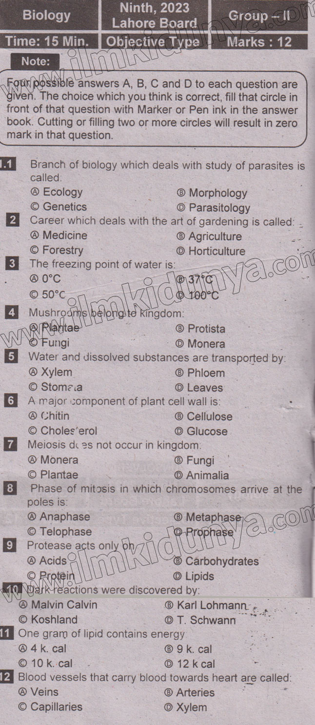 Paper Image