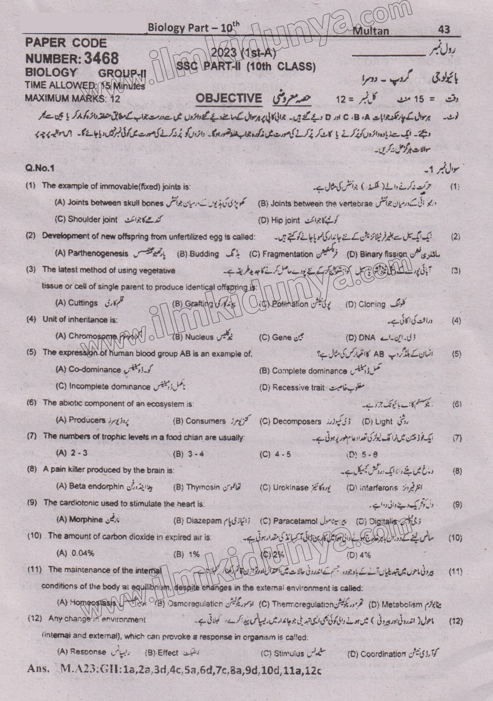 Paper Image