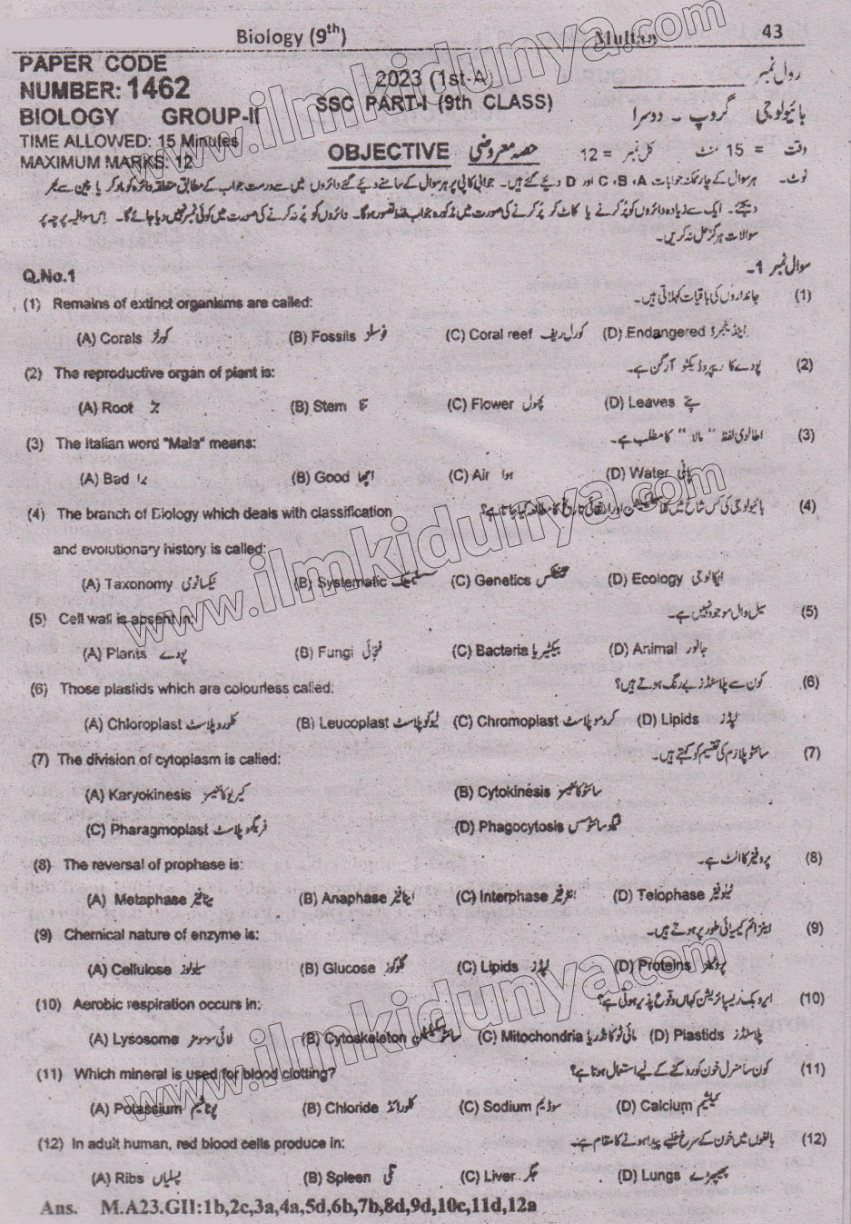 Paper Image