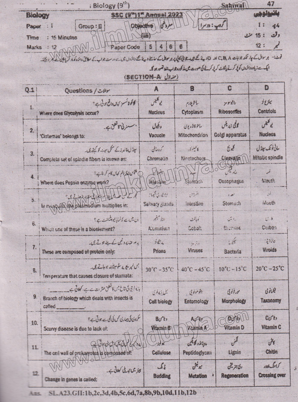 Paper Image