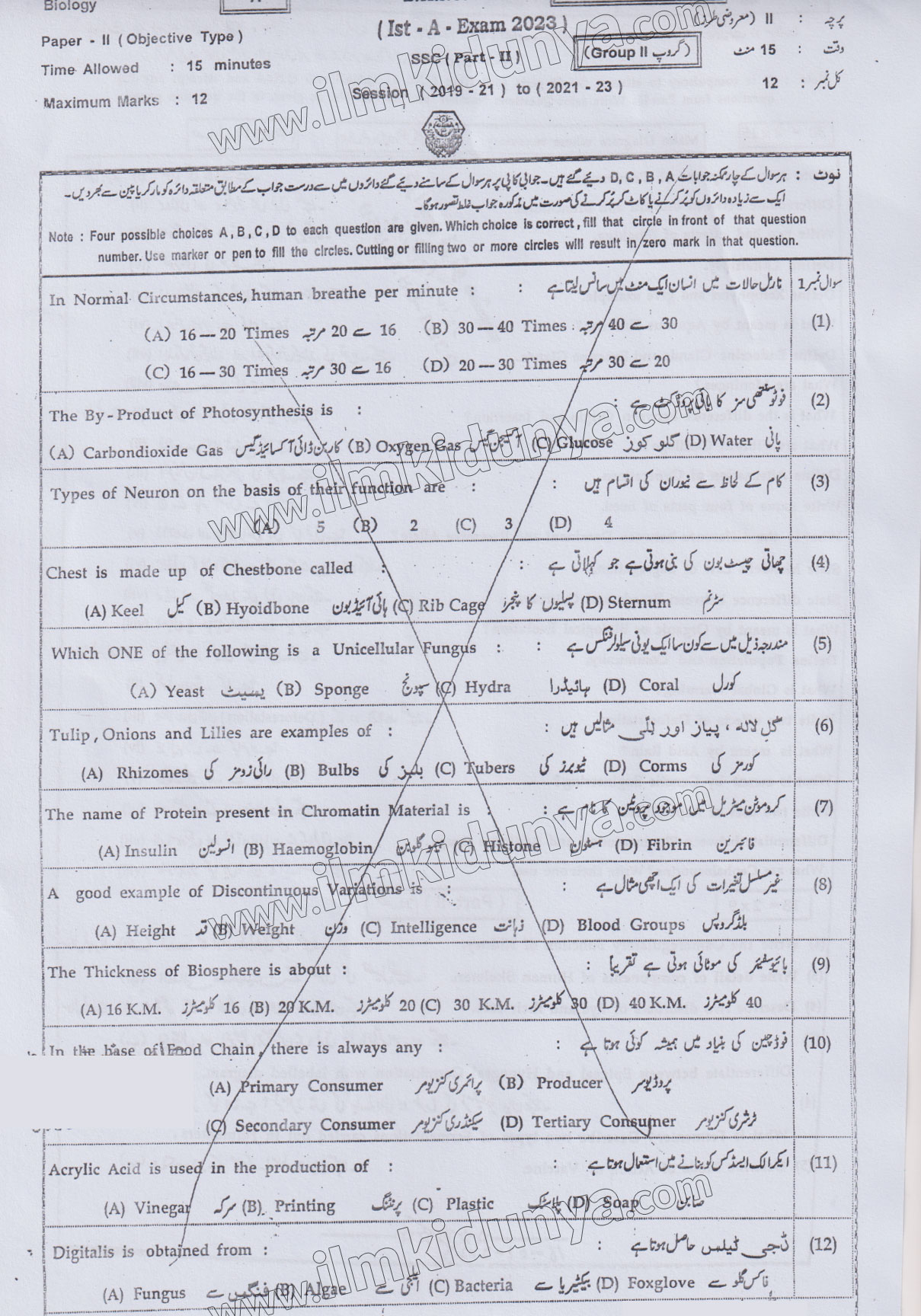 Paper Image