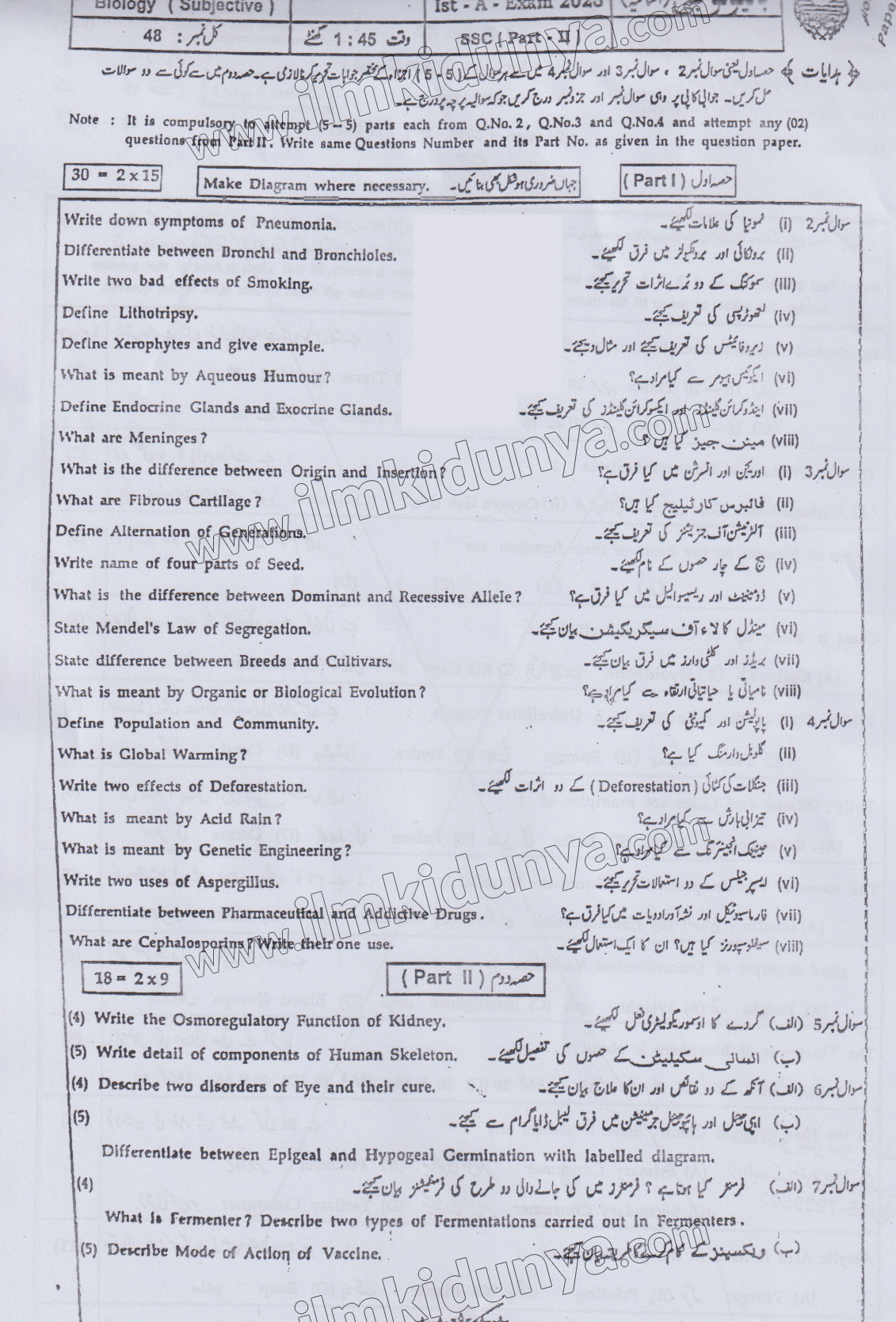 Paper Image