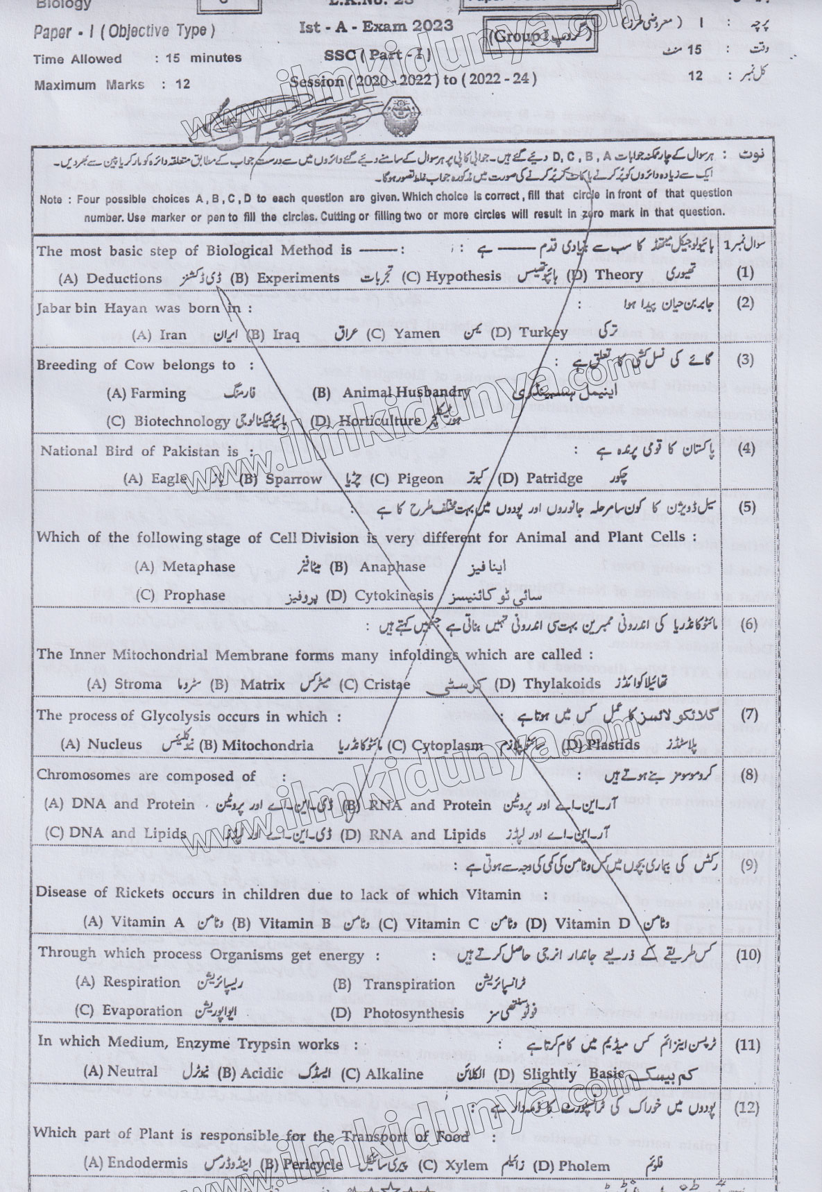 Paper Image
