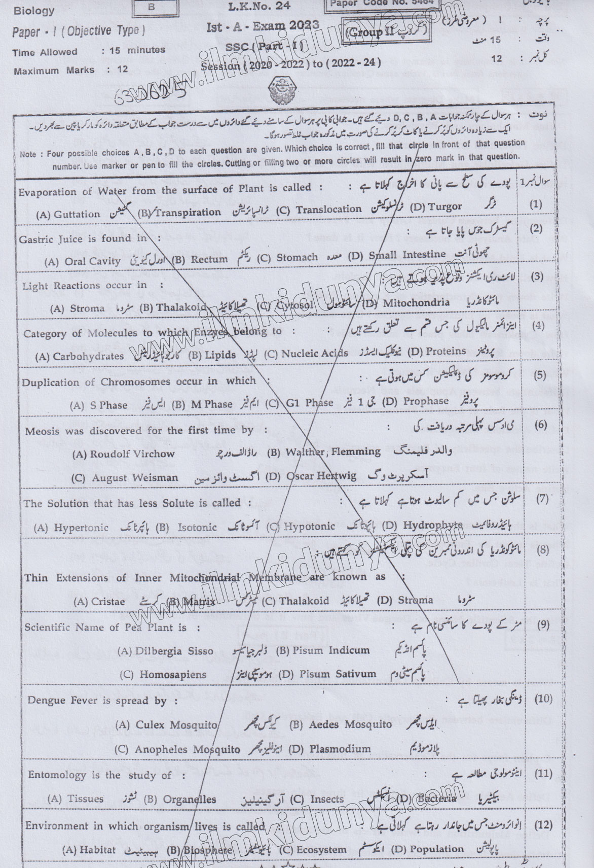 Paper Image