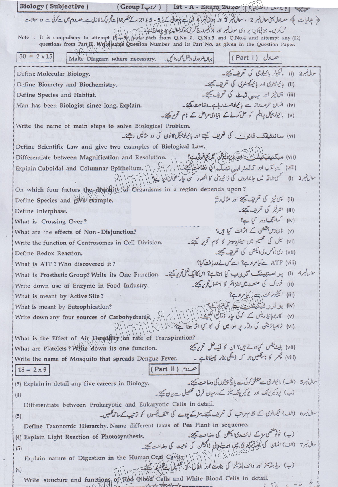 Paper Image