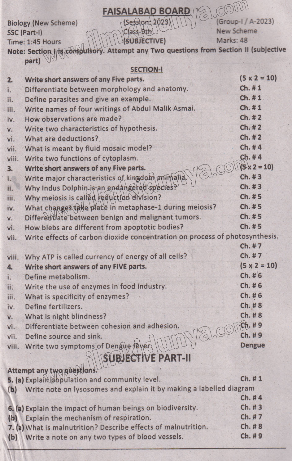 Paper Image