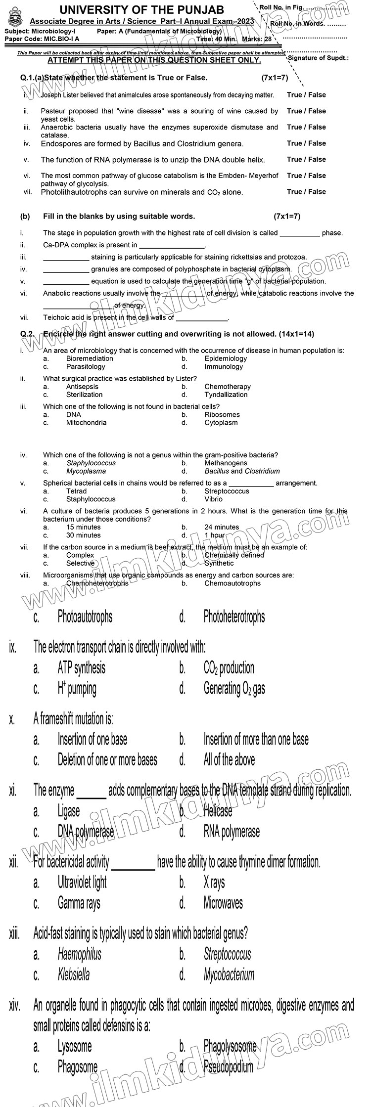 Paper Image