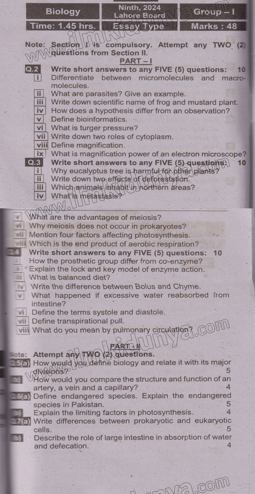 Paper Image